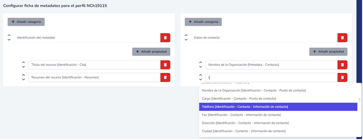 Configuración avanzada de la ficha de metadatos